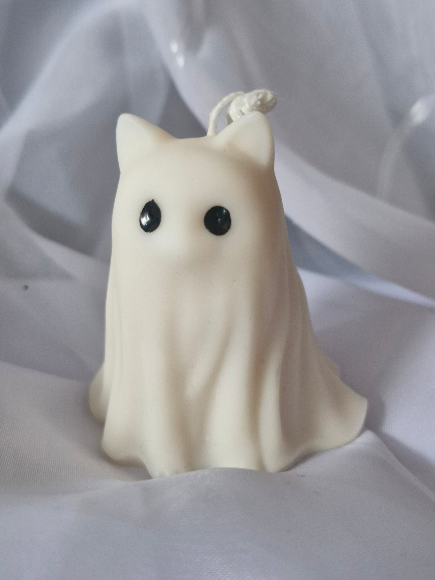 Gespenster          Hund & Katze